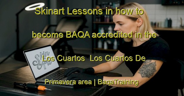 Skinart Lessons in how to become BAQA accredited in the Los Cuartos  Los Cuartos De Primavera area | BaqaTraining | BaqaClasses | SkinartTraining-Mexico